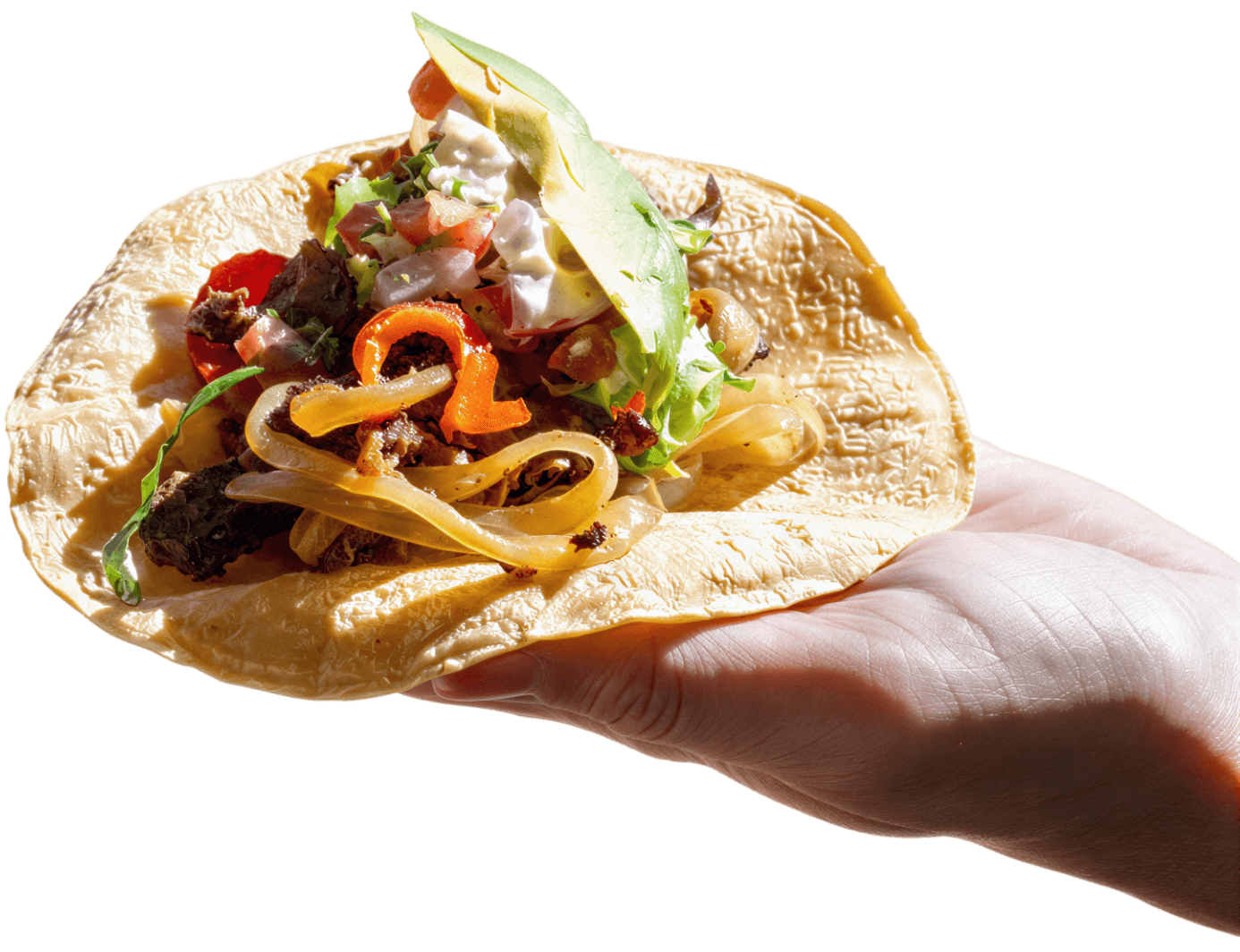 A hand holding a Taco Madre taco
